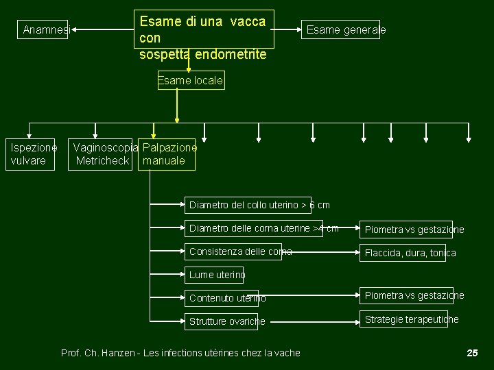 Anamnesi Esame di una vacca con sospetta endometrite Esame generale Esame locale Ispezione vulvare