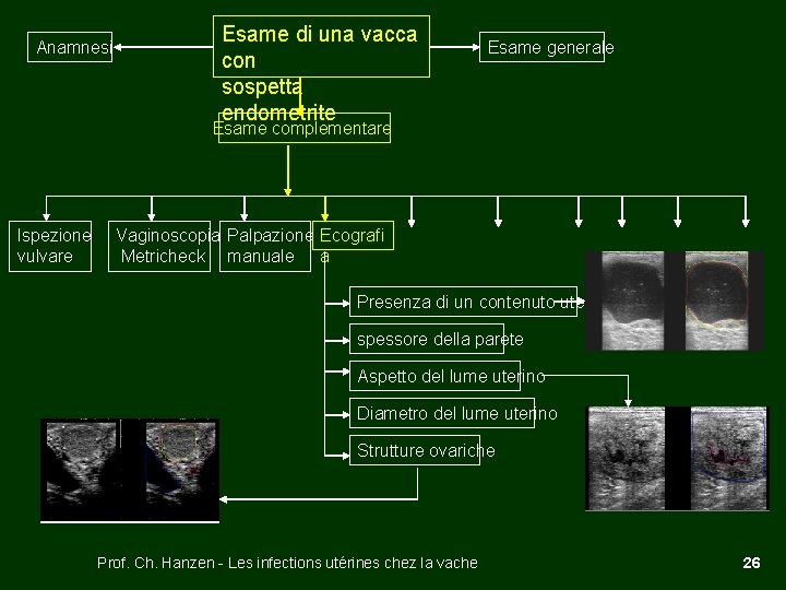 Anamnesi Esame di una vacca con sospetta endometrite Esame generale Esame complementare Ispezione vulvare
