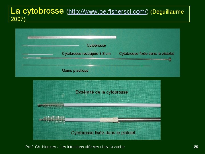 La cytobrosse (http: //www. be. fishersci. com/) (Deguillaume 2007) Prof. Ch. Hanzen - Les