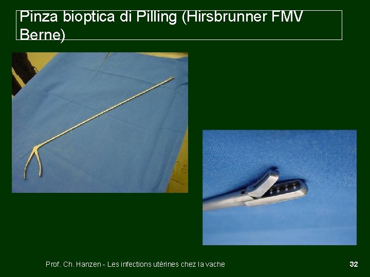 Pinza bioptica di Pilling (Hirsbrunner FMV Berne) Prof. Ch. Hanzen - Les infections utérines