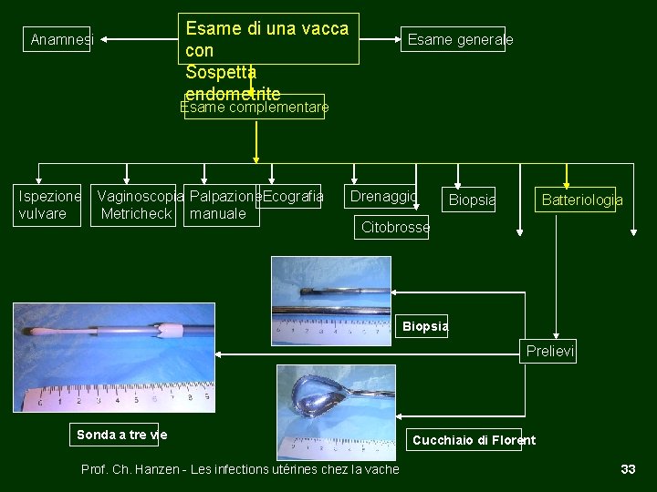 Anamnesi Esame di una vacca con Sospetta endometrite Esame generale Esame complementare Ispezione Vaginoscopia