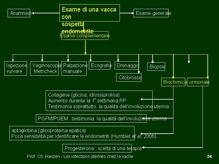 Anamnesi Esame di una vacca con sospetta endometrite Esame generale Esame complementare Ispezione Vaginoscopia