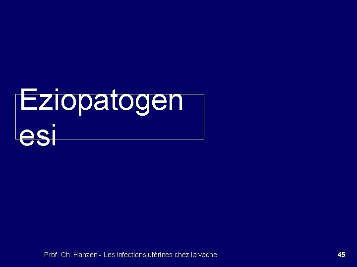 Eziopatogen esi Prof. Ch. Hanzen - Les infections utérines chez la vache 45 