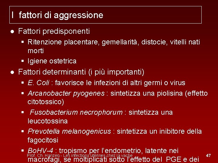 I fattori di aggressione ● Fattori predisponenti § Ritenzione placentare, gemellarità, distocie, vitelli nati