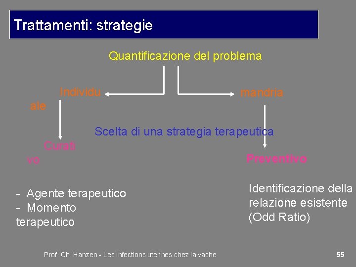 Trattamenti: strategie Quantificazione del problema Individu ale mandria Scelta di una strategia terapeutica Curati