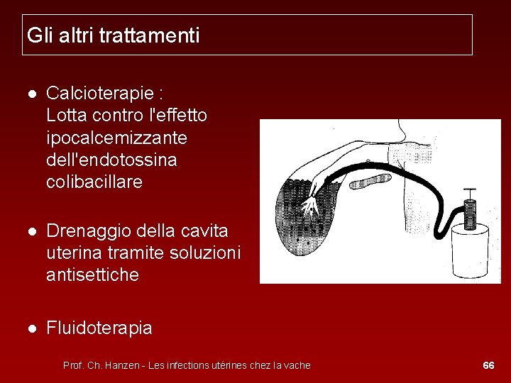 Gli altri trattamenti ● Calcioterapie : Lotta contro l'effetto ipocalcemizzante dell'endotossina colibacillare ● Drenaggio