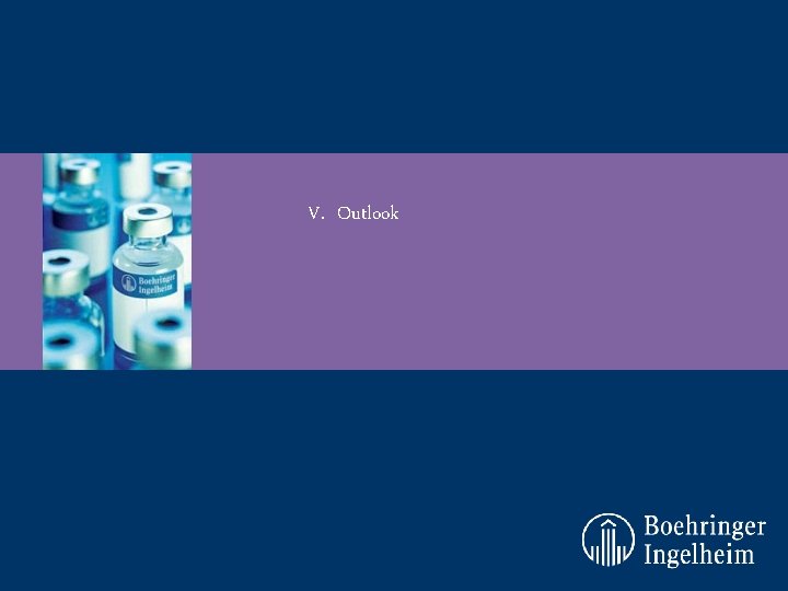 V. Outlook V. Outlook