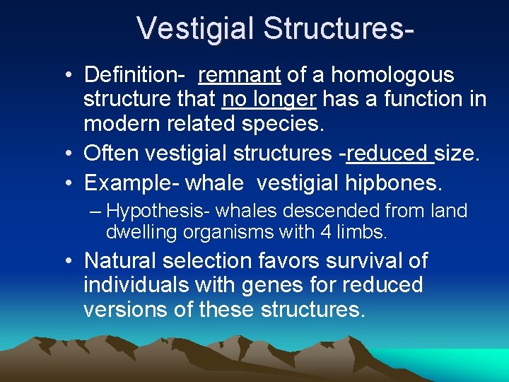 Vestigial Structures • Definition- remnant of a homologous structure that no longer has a Vestigial Structures • Definition- remnant of a homologous structure that no longer has a