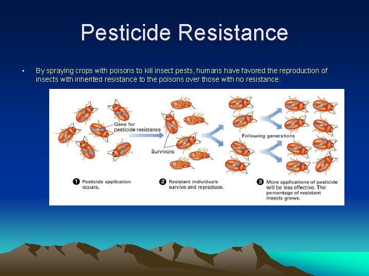 Pesticide Resistance • By spraying crops with poisons to kill insect pests, humans have