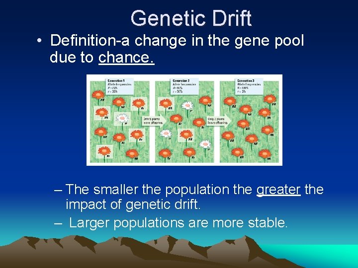 Genetic Drift • Definition-a change in the gene pool due to chance. – The Genetic Drift • Definition-a change in the gene pool due to chance. – The
