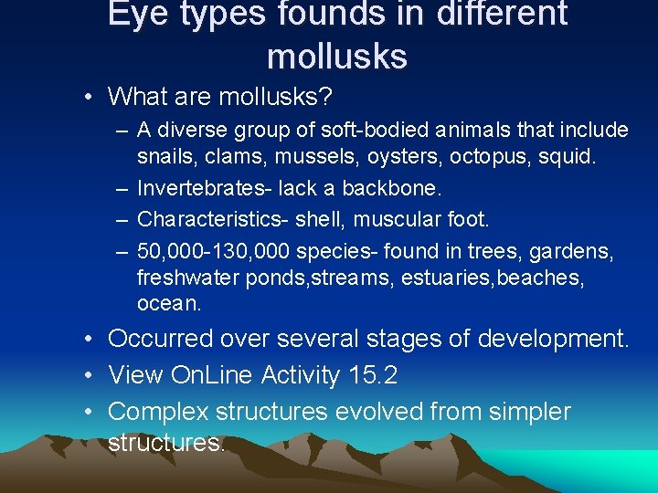 Eye types founds in different mollusks • What are mollusks? – A diverse group