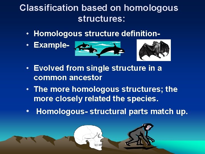 Classification based on homologous structures: • Homologous structure definition • Example • Evolved from