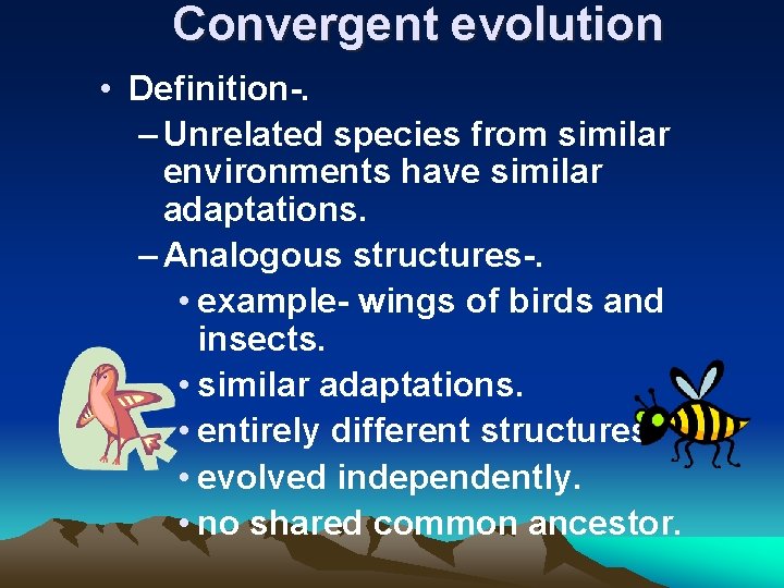 Convergent evolution • Definition-. – Unrelated species from similar environments have similar adaptations. –