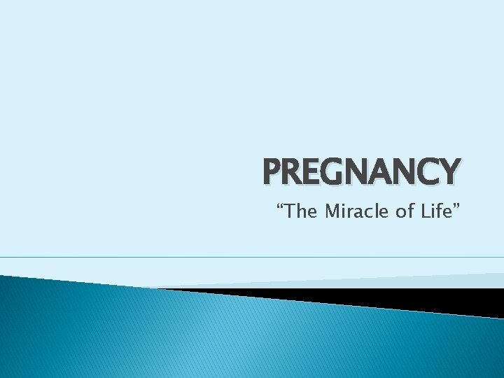 PREGNANCY “The Miracle of Life” 