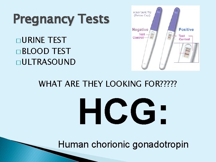 Pregnancy Tests � URINE TEST � BLOOD TEST � ULTRASOUND WHAT ARE THEY LOOKING