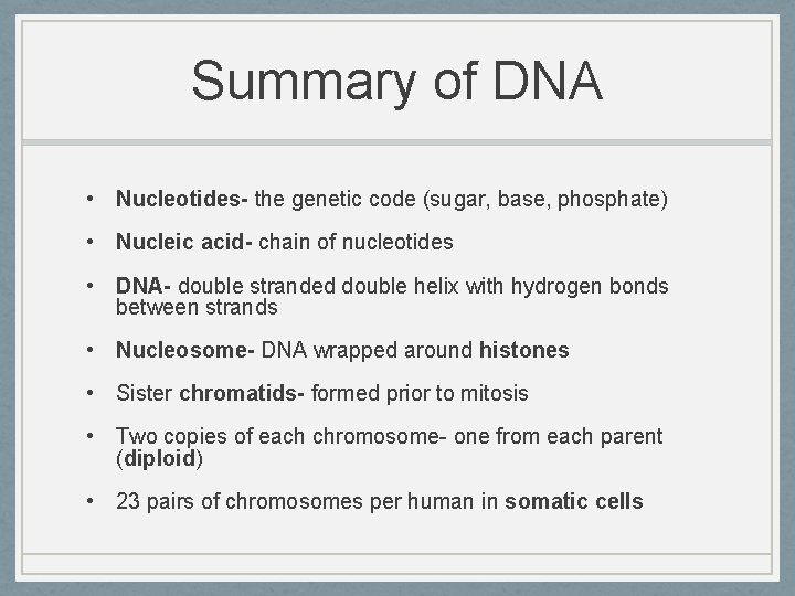 Summary of DNA • Nucleotides- the genetic code (sugar, base, phosphate) • Nucleic acid-