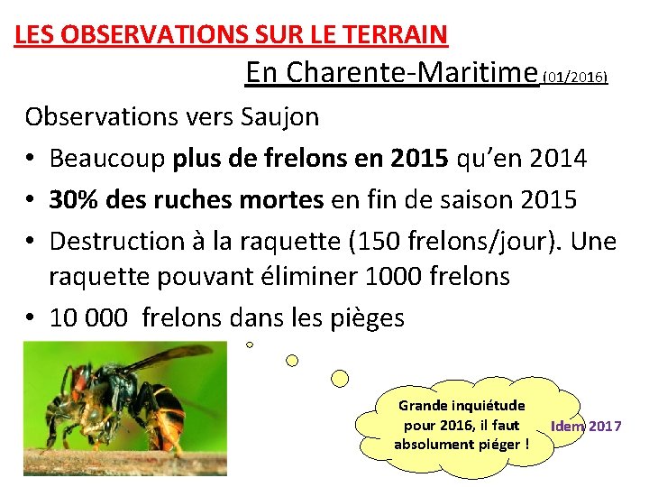 LES OBSERVATIONS SUR LE TERRAIN En Charente-Maritime (01/2016) Observations vers Saujon • Beaucoup plus