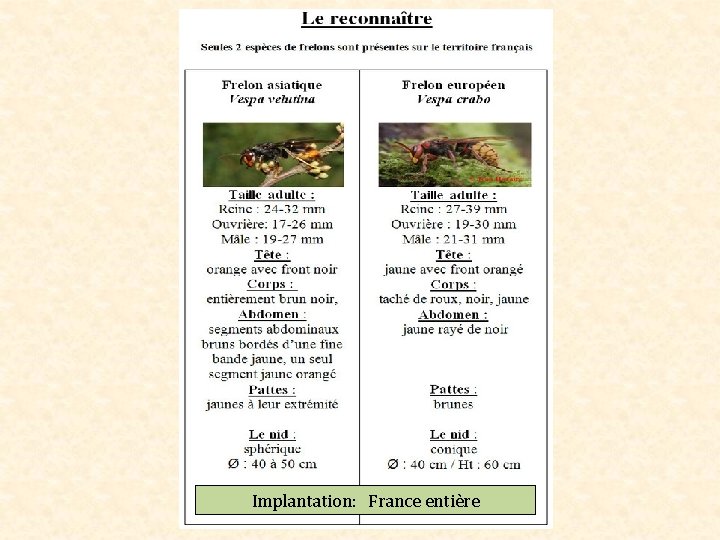 Implantation: France entière 