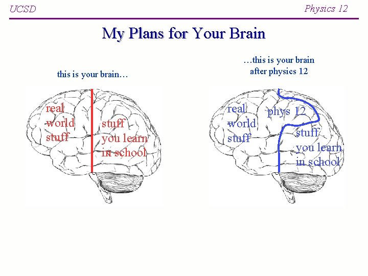 Physics 12 UCSD My Plans for Your Brain this is your brain… real world