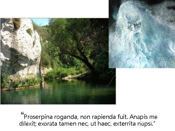 “Prōserpina roganda, nōn rapienda fuit. Anāpis mē dīlēxit; exōrāta tamen nec, ut haec, exterrita