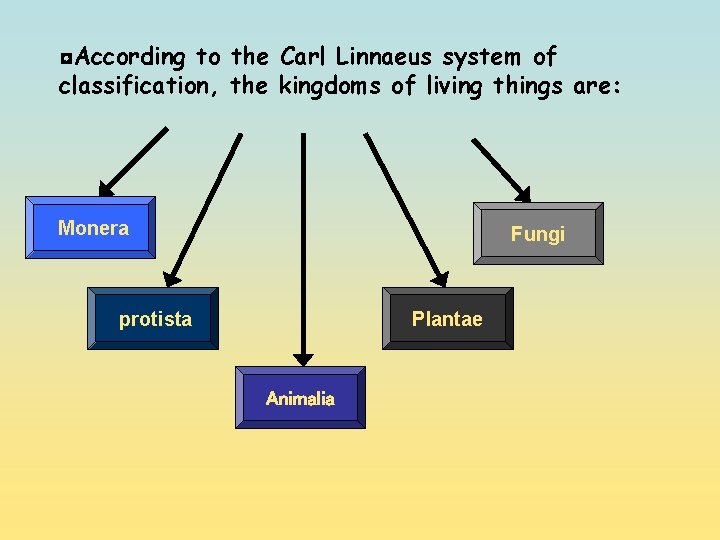 ◘According to the Carl Linnaeus system of classification, the kingdoms of living things are: