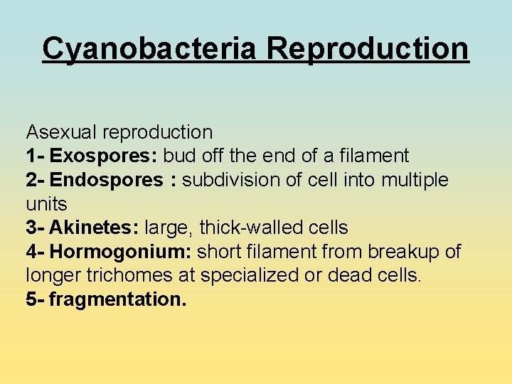 Cyanobacteria Reproduction Asexual reproduction 1 - Exospores: bud off the end of a filament