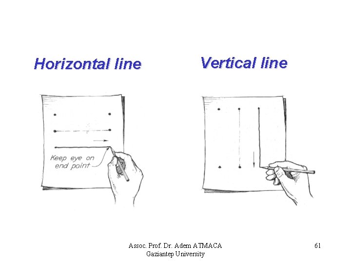 Horizontal line Vertical line Assoc. Prof. Dr. Adem ATMACA Gaziantep University 61 