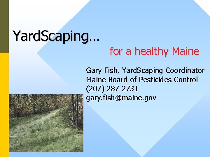 Yard. Scaping… for a healthy Maine Gary Fish, Yard. Scaping Coordinator Maine Board of