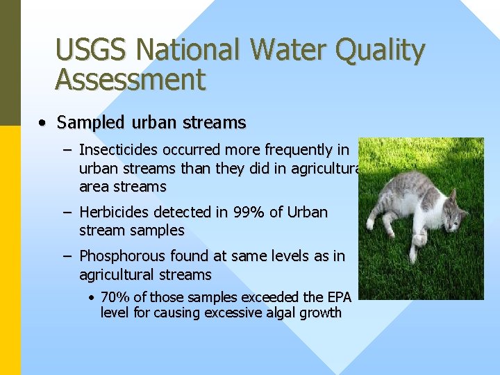 USGS National Water Quality Assessment • Sampled urban streams – Insecticides occurred more frequently