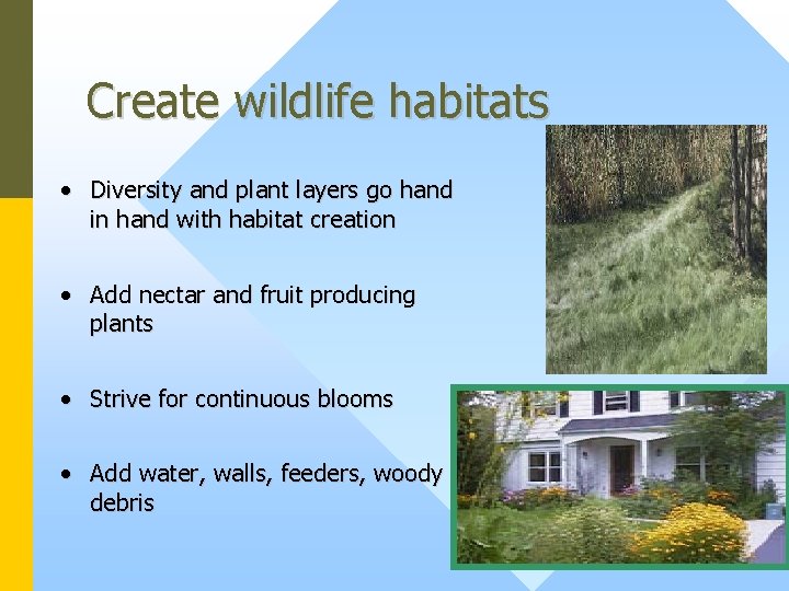 Create wildlife habitats • Diversity and plant layers go hand in hand with habitat