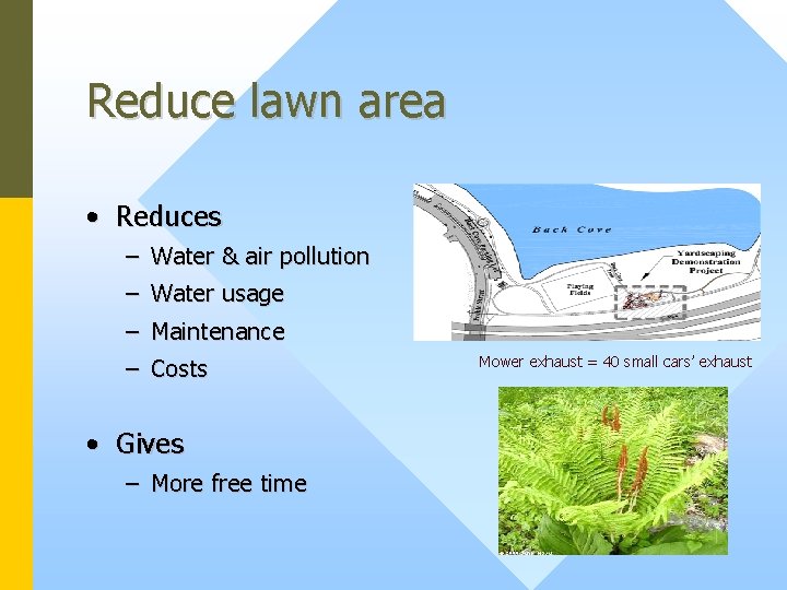 Reduce lawn area • Reduces – Water & air pollution – Water usage –