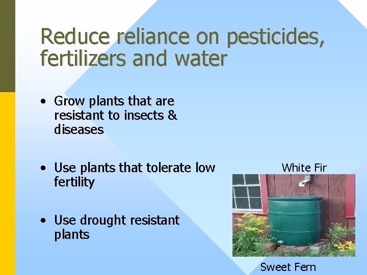 Reduce reliance on pesticides, fertilizers and water • Grow plants that are resistant to