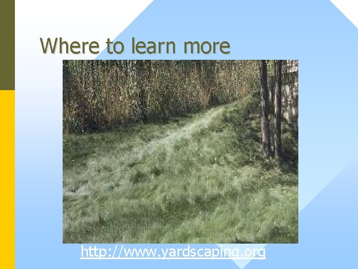 Where to learn more http: //www. yardscaping. org 