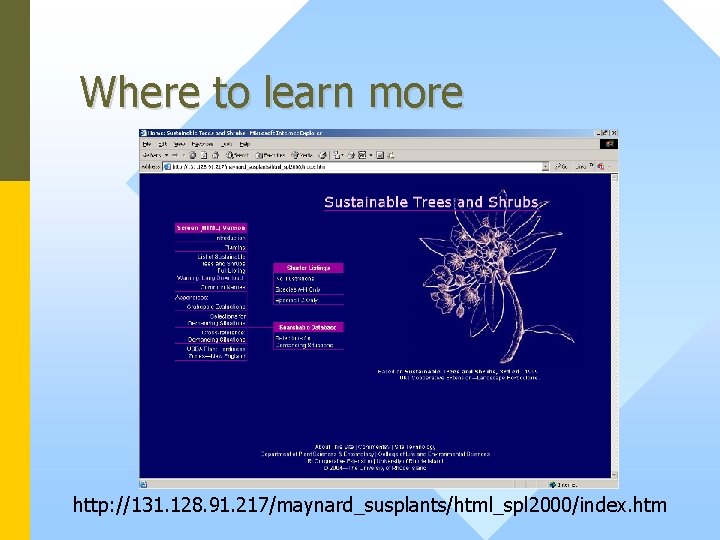 Where to learn more http: //131. 128. 91. 217/maynard_susplants/html_spl 2000/index. htm 