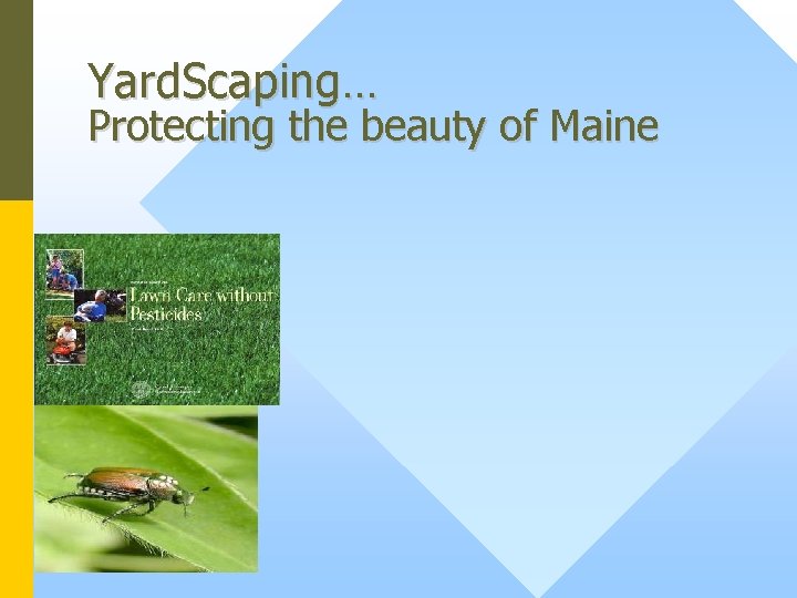 Yard. Scaping… Protecting the beauty of Maine 