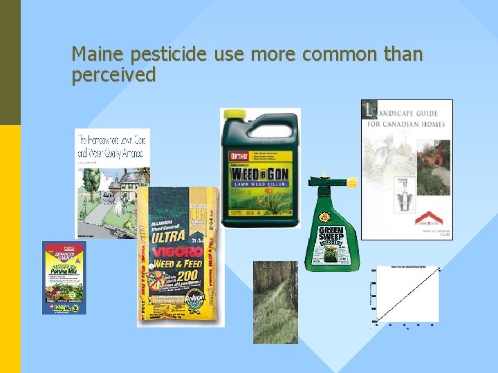 Maine pesticide use more common than perceived 