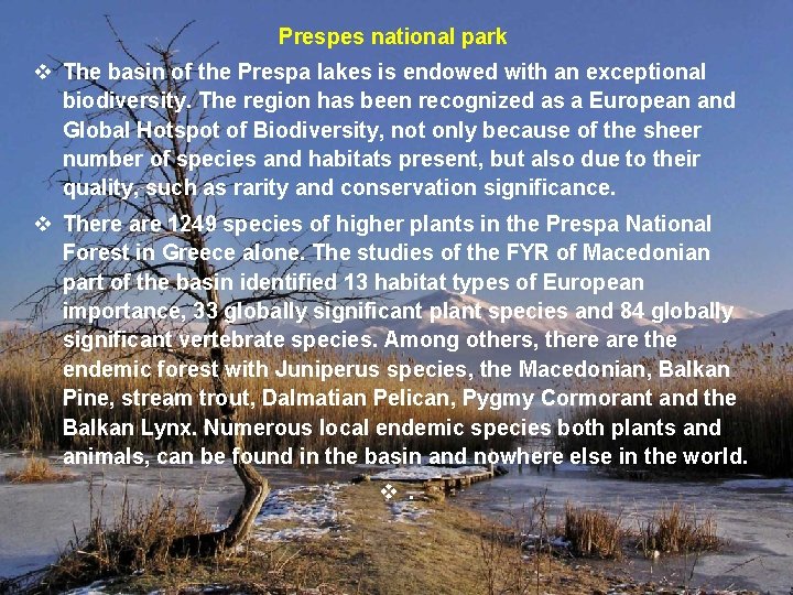 Prespes national park v The basin of the Prespa lakes is endowed with an