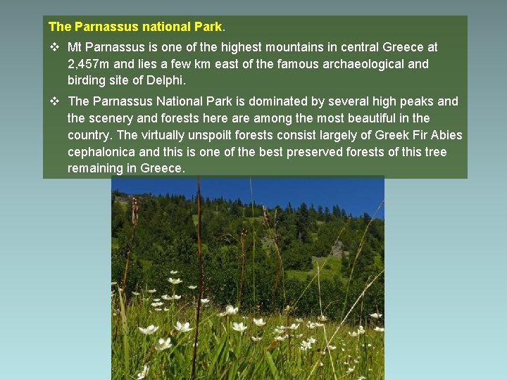 The Parnassus national Park. v Mt Parnassus is one of the highest mountains in