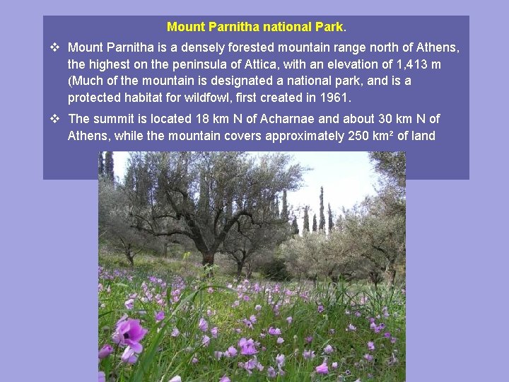 Mount Parnitha national Park. v Mount Parnitha is a densely forested mountain range north