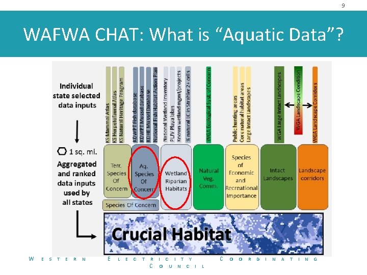 9 WAFWA CHAT: What is “Aquatic Data”? W E S T E R N