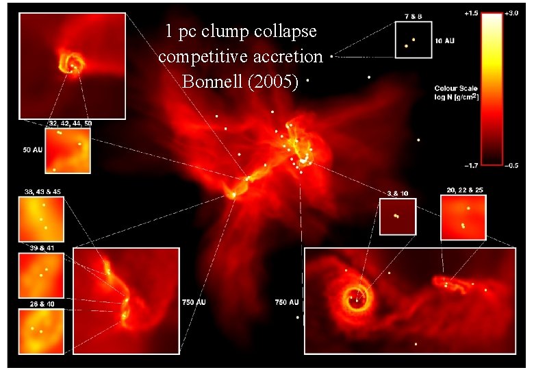 1 pc clump collapse competitive accretion Bonnell (2005) 