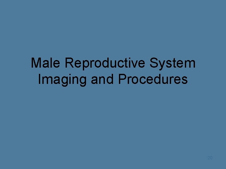Male Reproductive System Imaging and Procedures 20 