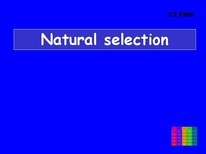 C 2 $200 Natural selection 