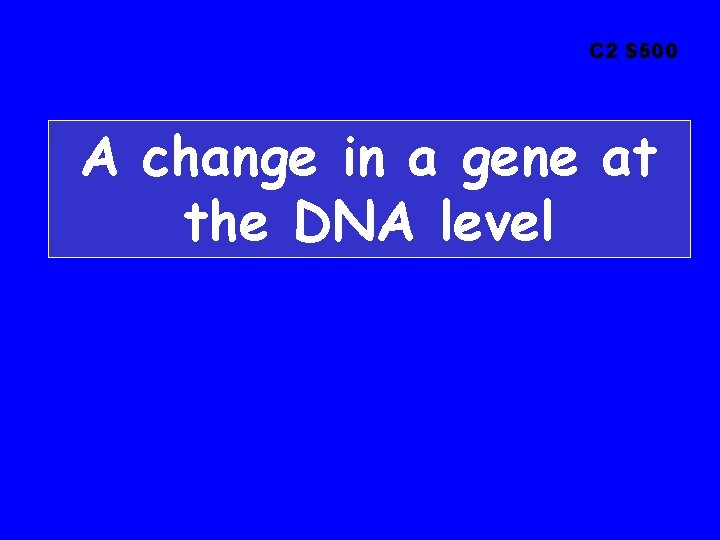 C 2 $500 A change in a gene at the DNA level 