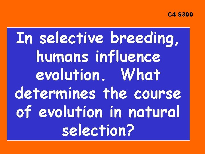 C 4 $300 In selective breeding, humans influence evolution. What determines the course of