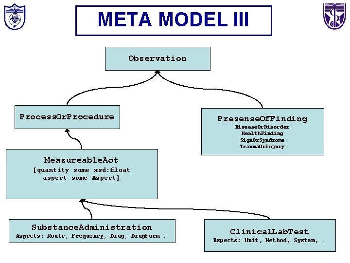 META MODEL III Observation Process. Or. Procedure Presense. Of. Finding Disease. Or. Disorder Health.