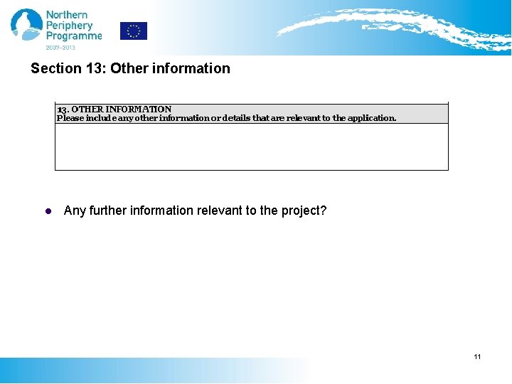 Section 13: Other information l Any further information relevant to the project? 11 