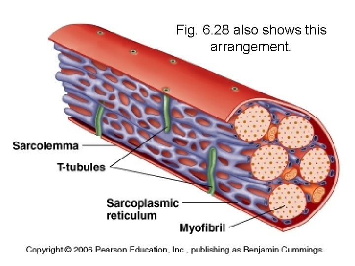 Fig. 6. 28 also shows this arrangement. 