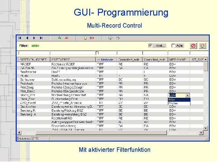 GUI- Programmierung Multi-Record Control Mit aktivierter Filterfunktion 