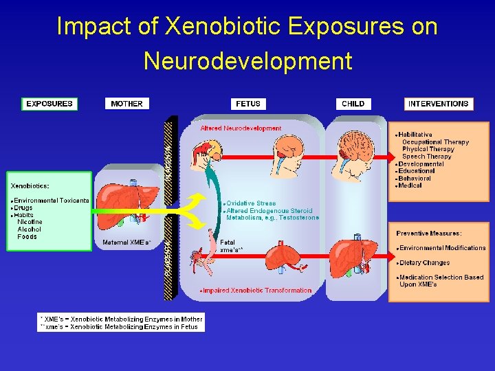 Impact of Xenobiotic Exposures on Neurodevelopment Impact of Xenobiotic Exposures on Neurodevelopment